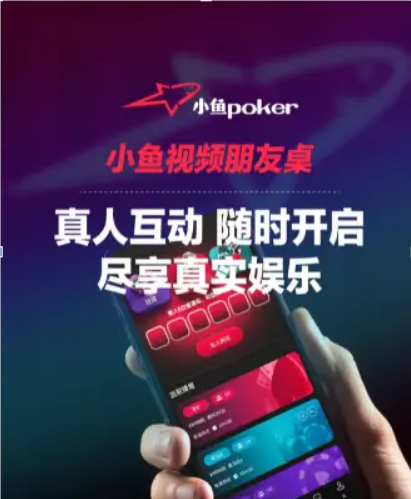 小鱼poker，输不可怕，可怕的是你不知道谁在赢
